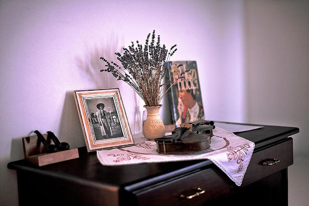 Penzion Primase Dolni Vestonice Bilik gambar